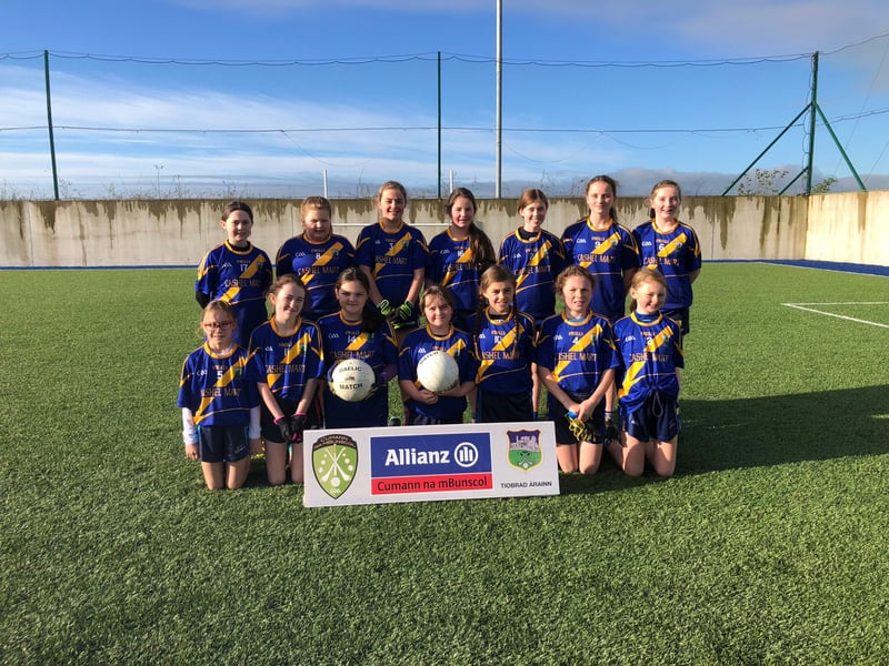 Pic: Boherlahan NS Under 13 Ladies Football Roinn E Winners