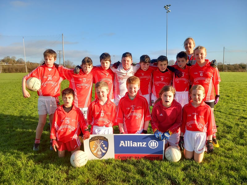 Pic: Tankerstown NS U11 E Finalists