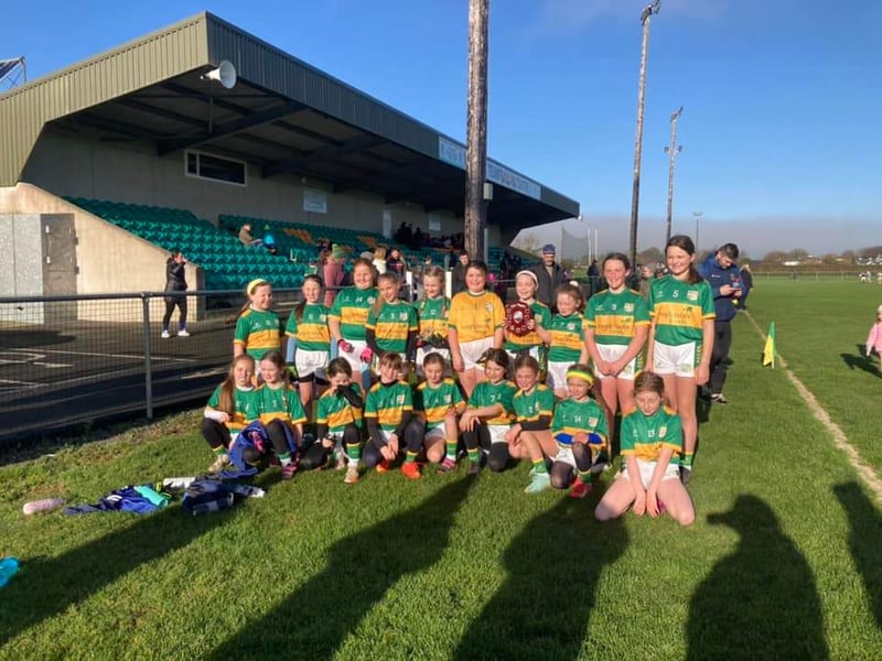 Pic: Templetouhy NS U11E Ladies Football Winners