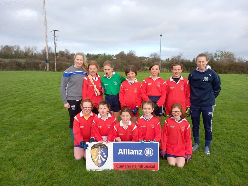 Pic: U11 Ladies Football Roinn A Finalists Powerstown NS