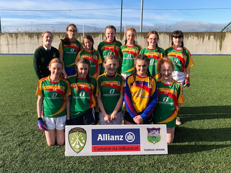 Pic: Ayle NS Under 13 Ladies Football Roinn E Finalists