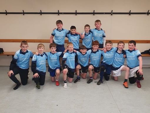 Pic: Under 11 Football Roinn D Finalists Birdhill NS
