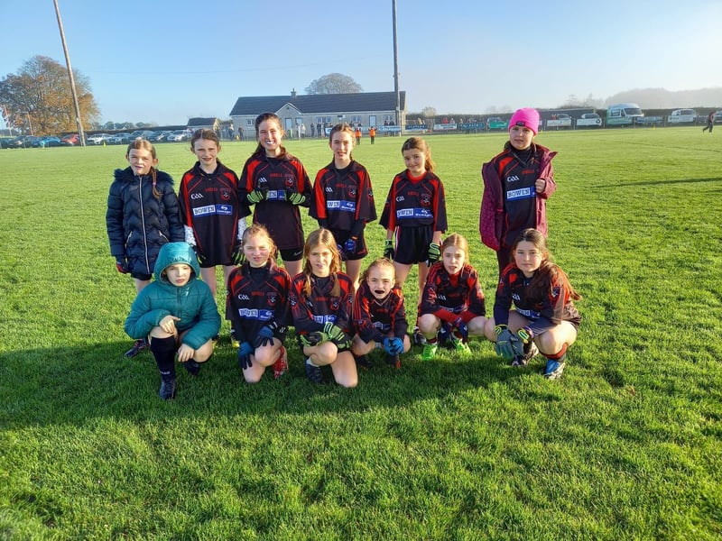 Pic: Under 11 Ladies Football Roinn E Runners Up Moneygall NS