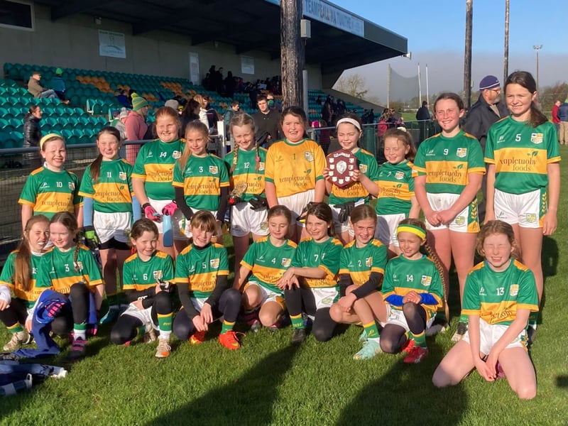 Pic: Under 11 Ladies Football Roinn E Winners Templetouhy NS