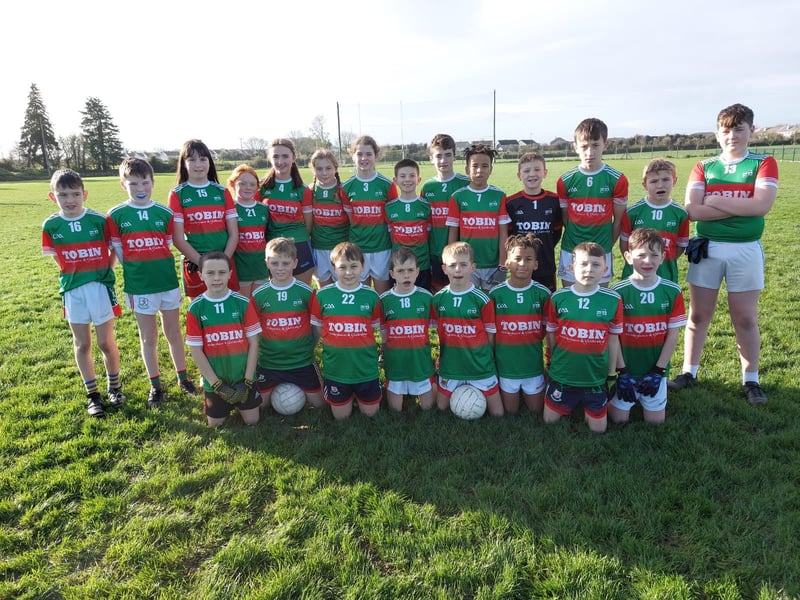 Pic: Under 13 Football Roinn D Winners Mullinahone NS