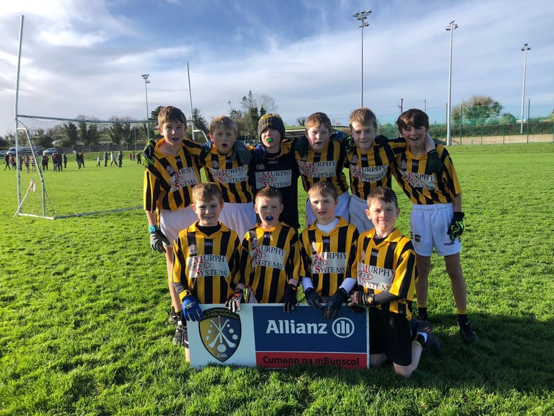 Pic: Upperchurch NS U11 C Winners