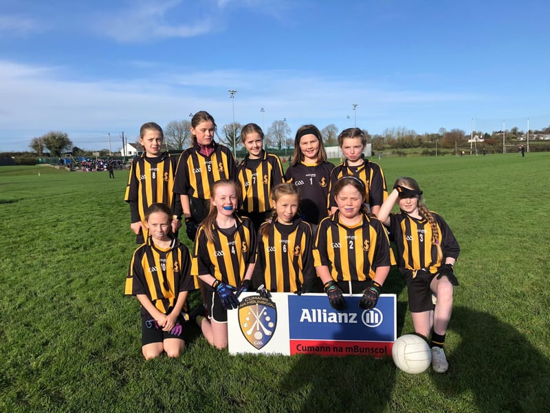 Pic: Upperchurch NS Under 11 Roinn A1 B1 Ladies Winners