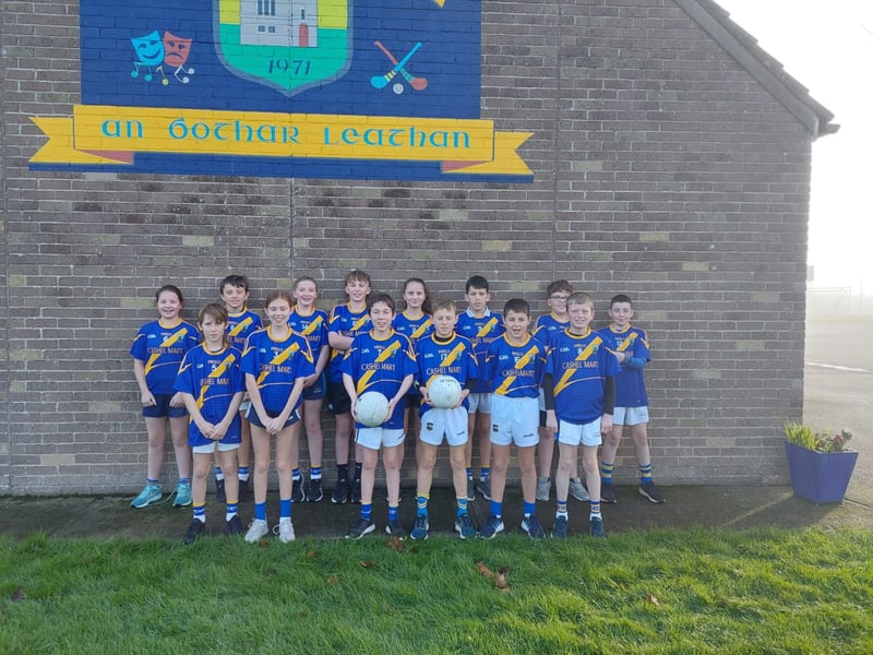 Pic: Boherlahan NS Under 13 Football Roinn E Finalists