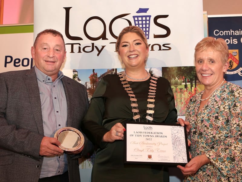 Laois communities shine brightly at Laois Tidy Towns Awards