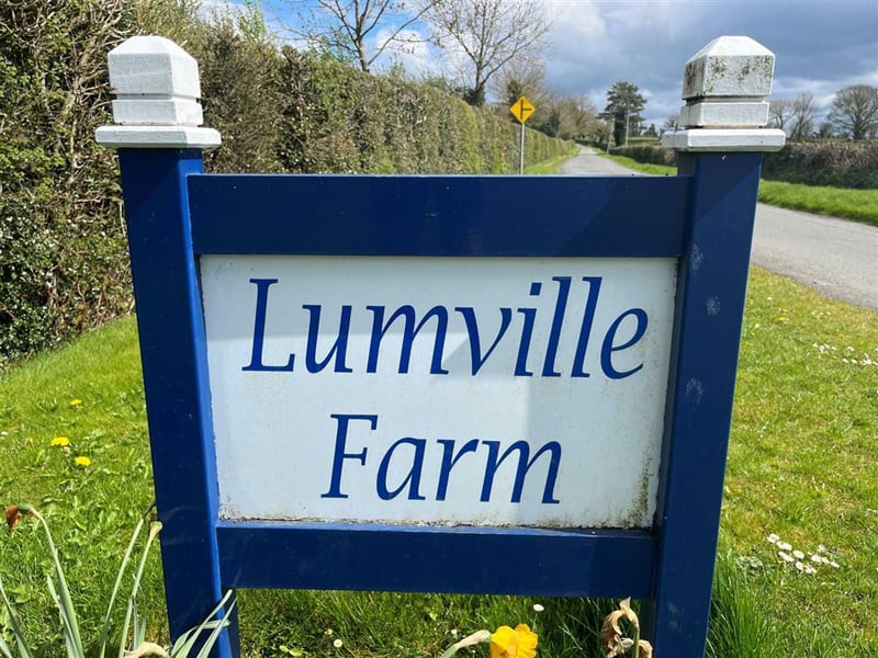 PROPERTY: Incredible property in Offaly is now up for sale for a ...