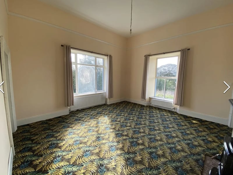 Click on NEXT below image to see more photos of the house and lands.
