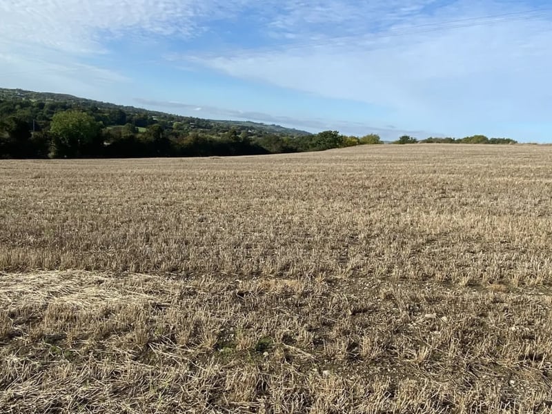Click on NEXT below image to see more photos of the house and lands.