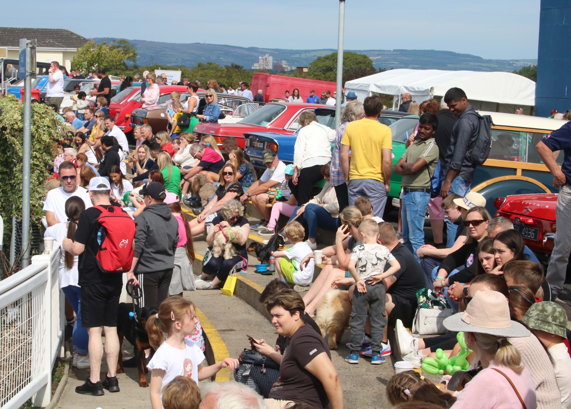 In Pictures: Limerick Show time is a great time for young and old!