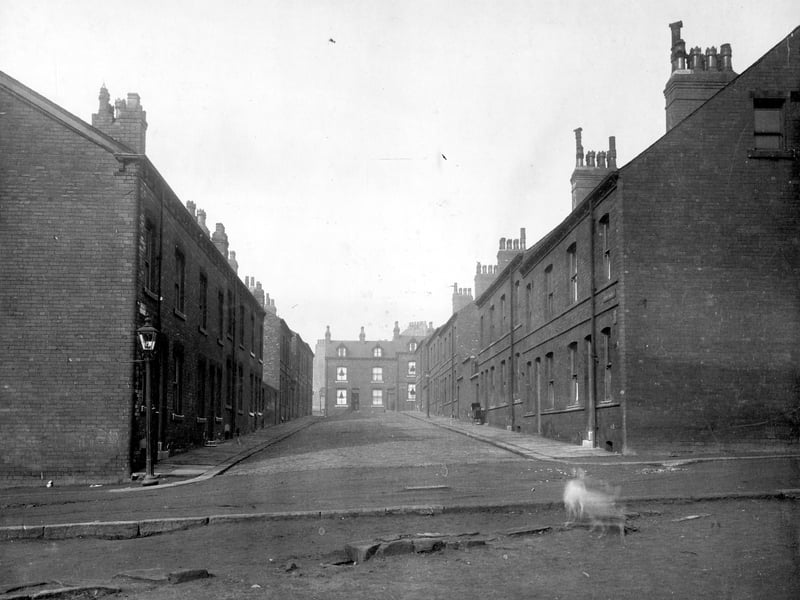 Raby Terrace in March 1930. Brick terrace, blocks of outside toilets are halfway down the street, space to house them can be seen.