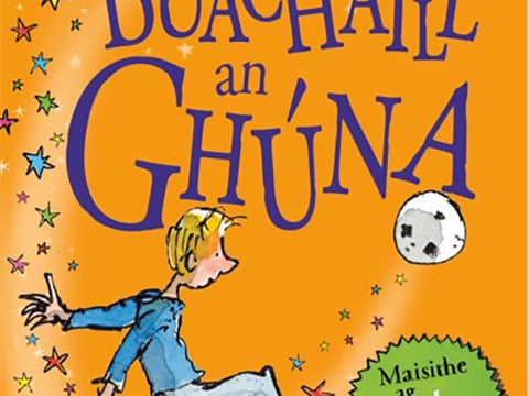 Lá na Gaeilge  -26th of March in The Bookworm Bookshop from 11am until 1pm – Discounts available on the day.