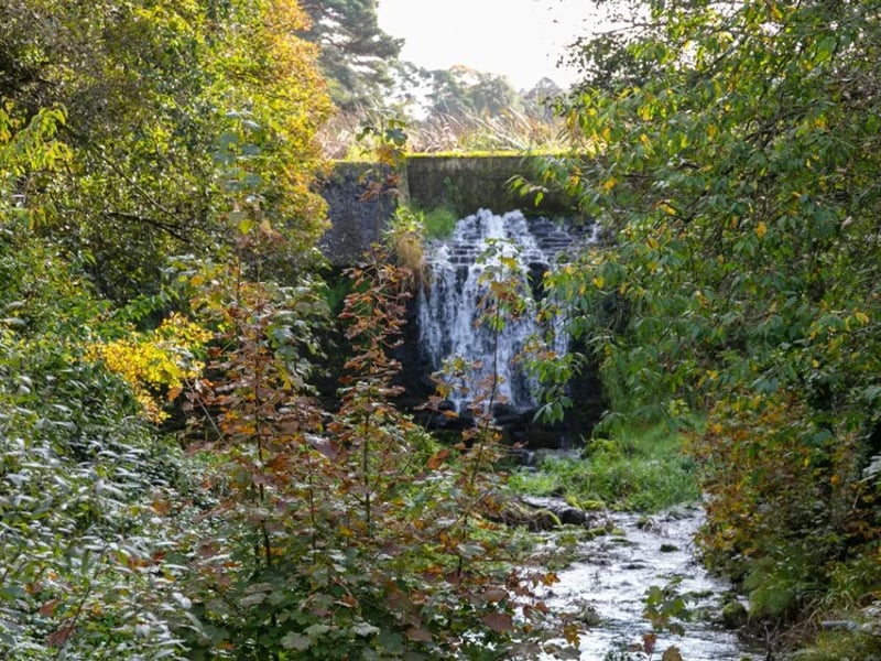 Pouldrew House, Kilmeadan, Waterford is one of the most desirable Georgian mansions in Ireland. It is for sale for €1.85m and is located on 45 acres of beautiful woodland.