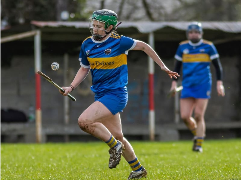 Roisin Howard on a run through the Offaly defence during last Saturday's comprehensive victory.