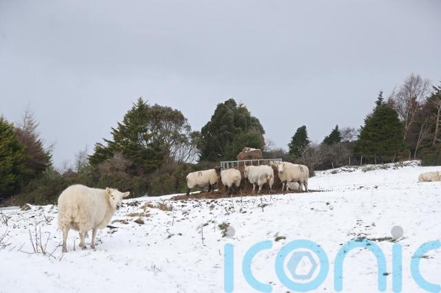 A wintry chill was felt in February, bringing ice, snow and cold winds.