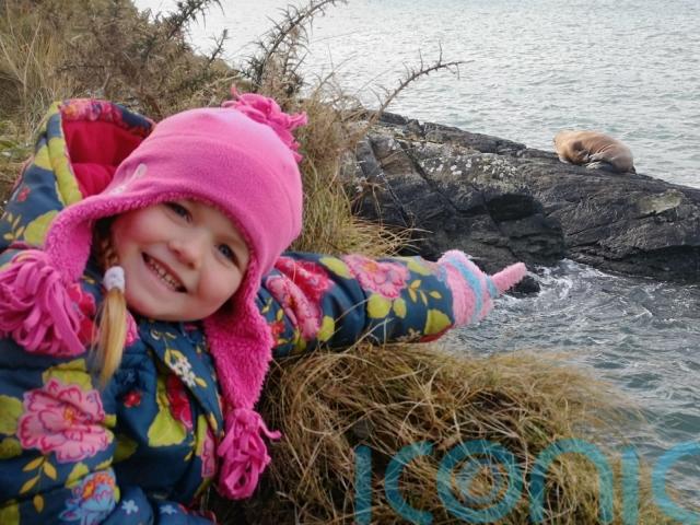 March brought some cheer, as a walrus thought to have drifted over to Ireland from the Arctic was spotted by five-year-old Muireann Houlihan.
