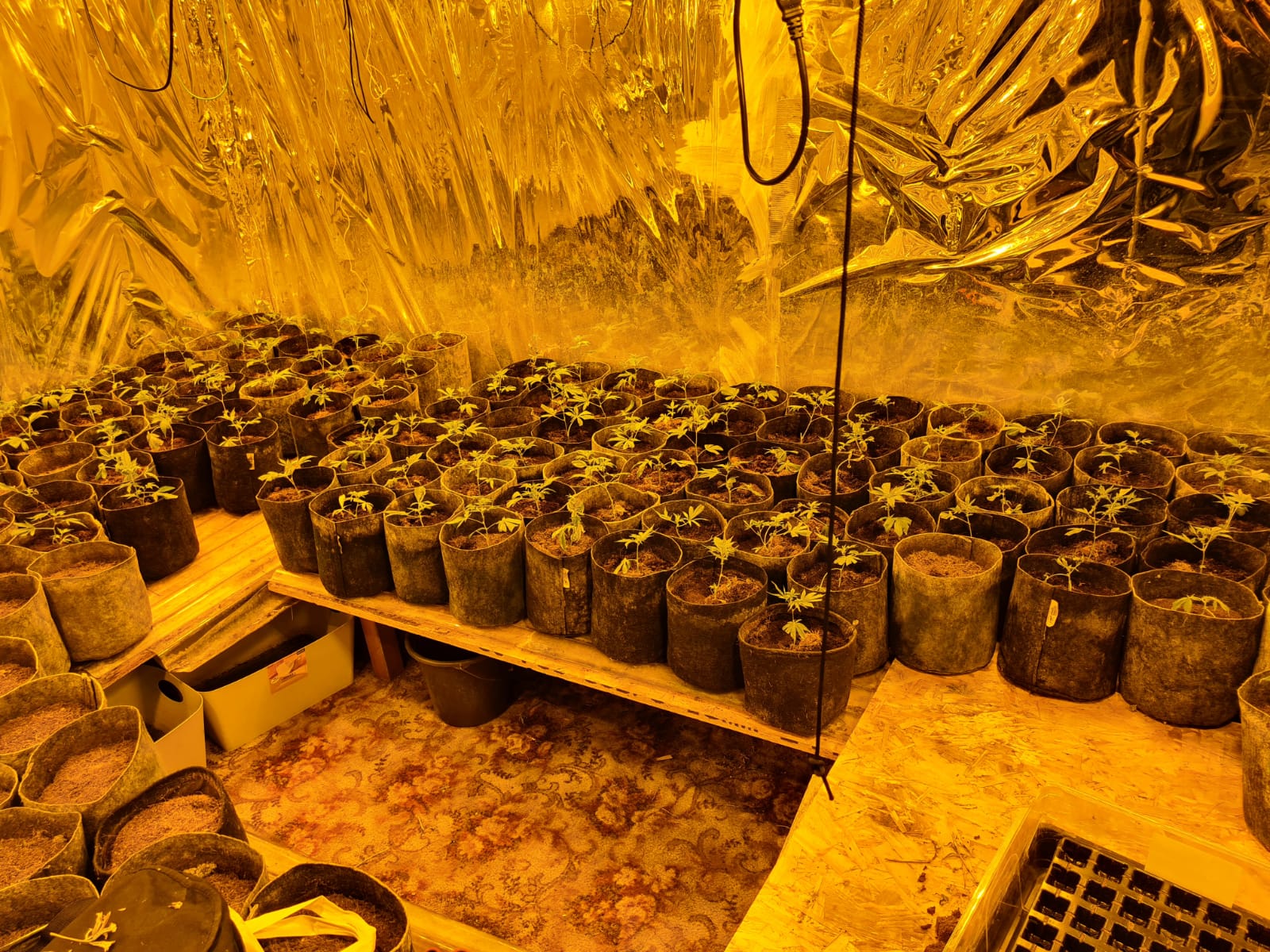 Operation Tara began on July 1, 2021 to 'disrupt, dismantle and prosecute drug trafficking networks, at all levels' by Gardaí.