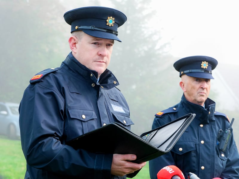 PICTURED: Gardaí search the area in Taggartstown