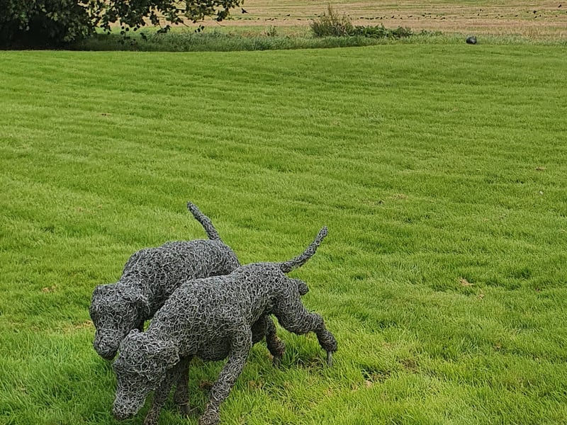 The home of the Tipperary Hunt, the legacy is evident in a most unusual outdoor art feature at Tullamaine. A lifesize sculpture of a pack of fox hounds in wire is featured running across the lawn. Specially sculpted by Rupert Till, it is so unusual that visiting dogs think from a distance that ‘the pack’ is real. The sculpture based on the Tipperary hunt which had its home at Tullamaine. Lot 774. Estimate €8000-12000  