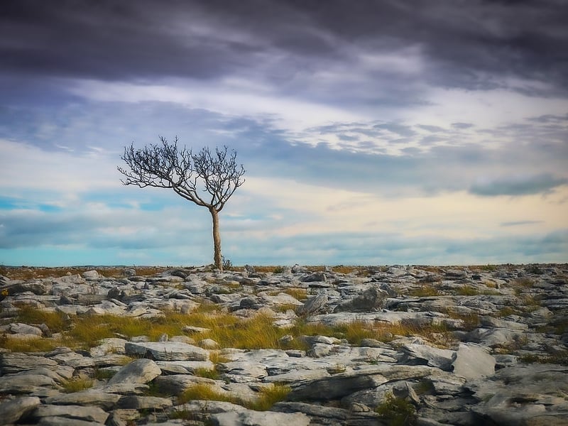 Spectacular photographs of Ireland's landmarks have won the Irish round of the world’s biggest photography competition dedicated to natural heritage. Landmarks featured in the winning pictures of the Wiki Loves Earth competition include Cliffs of Moher and Mirror Wall Cliff in Co. Clare, Gap of Dunloe and Gleninchaquin Park in Co. Kerry, Mourne Mountains in Co. Down, Baldoyle Bay Estuary in Co. Dublin, Sally Gap in Co. Wicklow, Clew Bay in Co. Mayo and Inishmore Island in Co. Galway. The pictures were taken by Diego Lopez, Síoda Photography and Jonathan Baker. CLICK ON NEXT TO FLICK THROUGH THE PICTURES