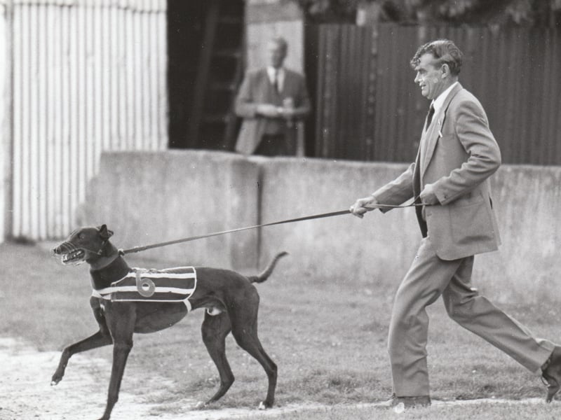 Can you recognise anyone from these sporting pictures from yesteryear? There are a few classics this week.