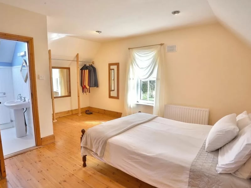The auctioneer says that this beautiful home "epitomises all that is synonymous with the Abbeyleix style".