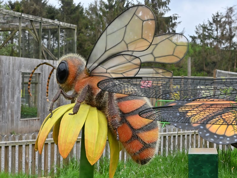 The zoo offers personalised experiences for young children to meet a variety of local and exotic animals. They can do this by booking an 'experience' where they can play zoo keeper for half a day. 
