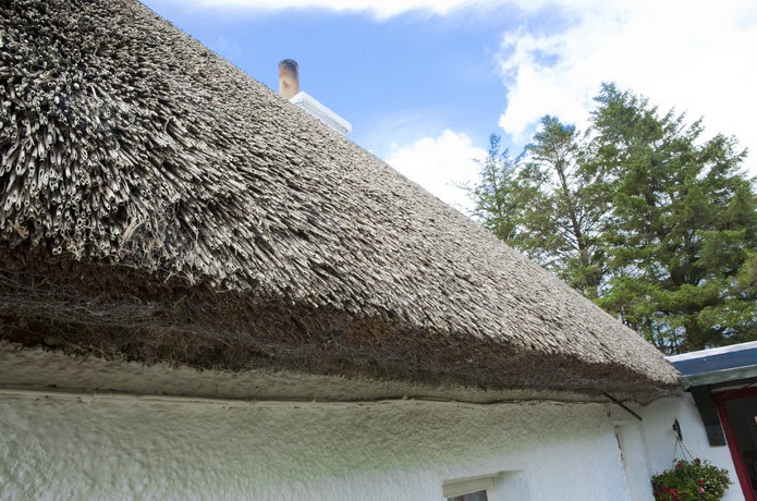 The thatch was redone in 2008 and is Polish Reed and was re-ridged in 2018.