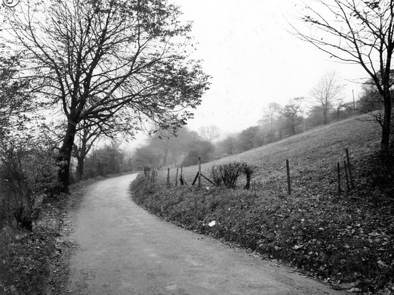 Another photo of Troydale Lane in November 1937 before road improvements.