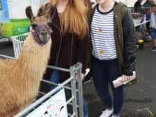 [caption id="attachment_109050" align="alignnone" width="225"] Niamh Byrne and Aoife Stafford from Kilcullen[/caption]