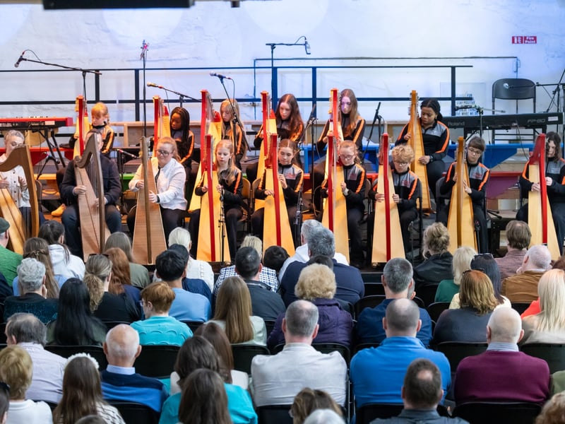 See pictures of Sunday's Music at the Malthouse performances in Stradbally.