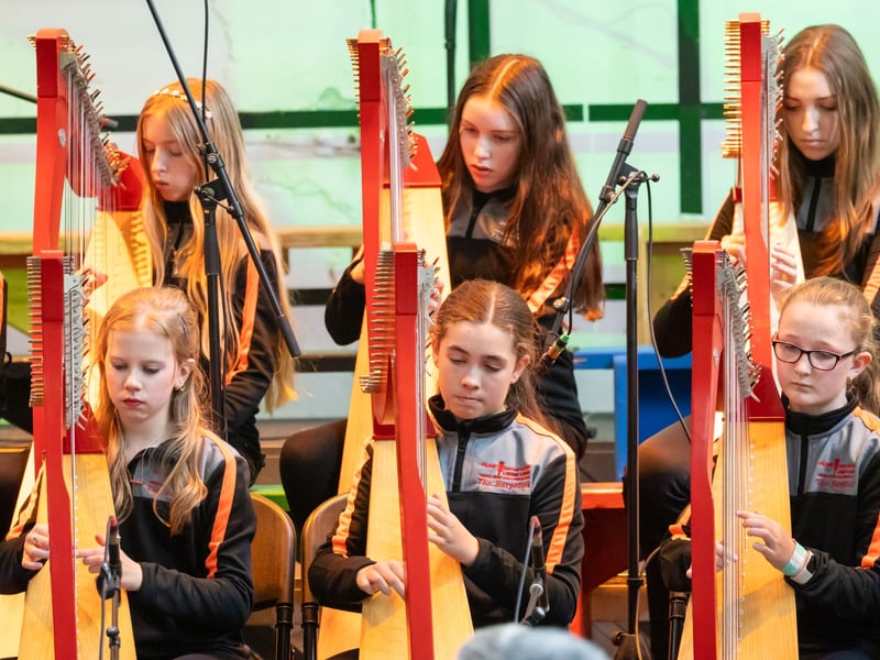 See pictures of Sunday's Music at the Malthouse performances in Stradbally.