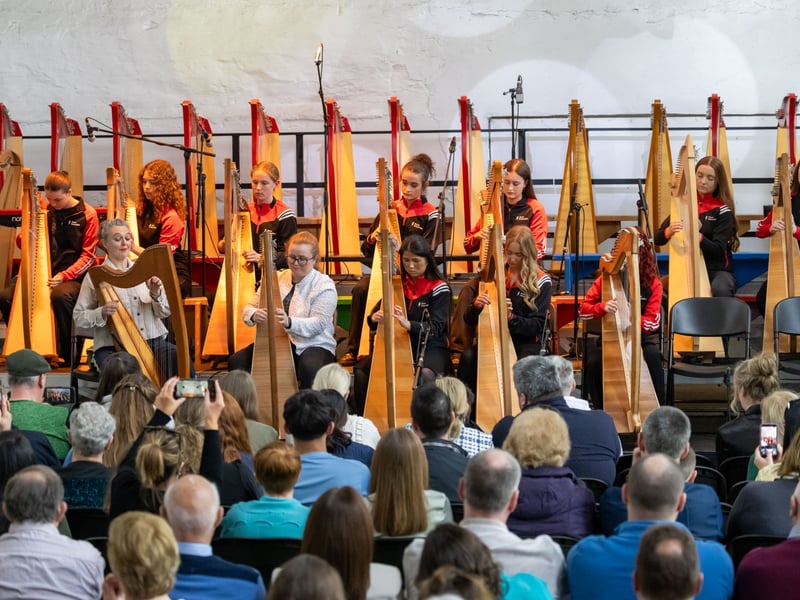 See pictures of Sunday's Music at the Malthouse performances in Stradbally.