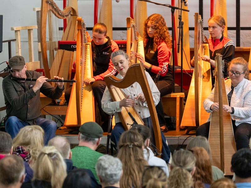 See pictures of Sunday's Music at the Malthouse performances in Stradbally.