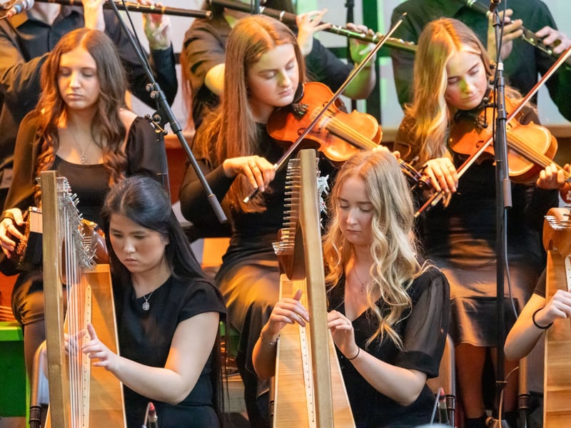 See pictures of Sunday's Music at the Malthouse performances in Stradbally.