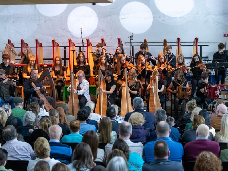 See pictures of Sunday's Music at the Malthouse performances in Stradbally.