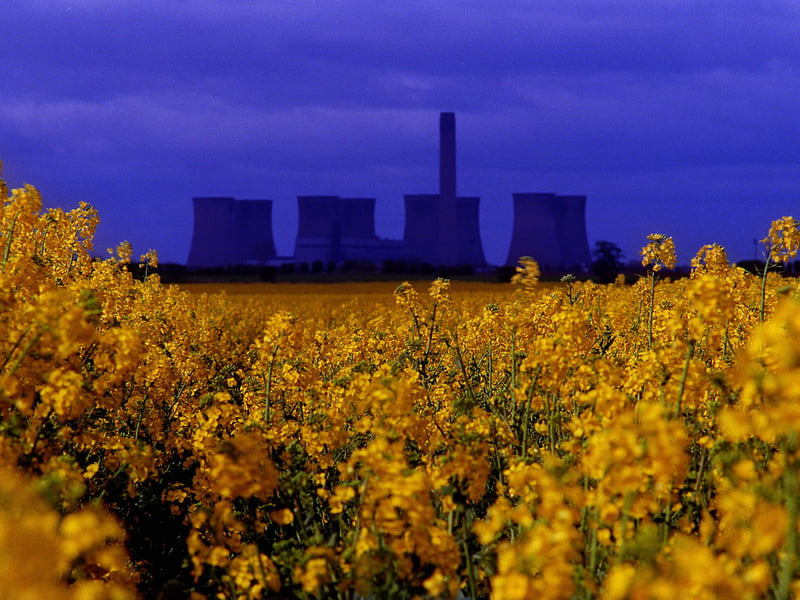 Share your memories of Selby in the 1990s with Andrew Hutchinson via email at: andrew.hutchinson@jpress.co.uk or tweet him - @AndyHutchYPN