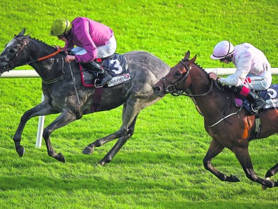 Tips for Day Two of Galway Races
