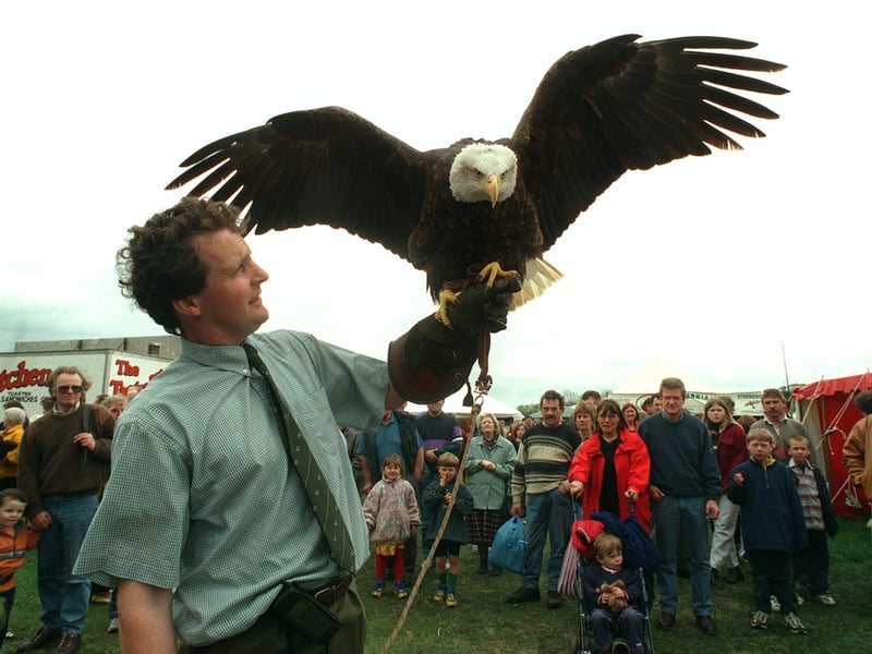 The eagle has landed. Hundreds of people attended the Selby Game Fair at Carlton Towers in April 1999. Pictured is Christopher O'Donnell of the falconry centre, is pictured with a Bald Eagle.
