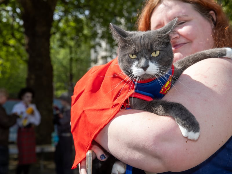 Huge crowds have flocked to Portsmouth Guildhall for Comic Con 2026.

Picture: Alex Shute 
