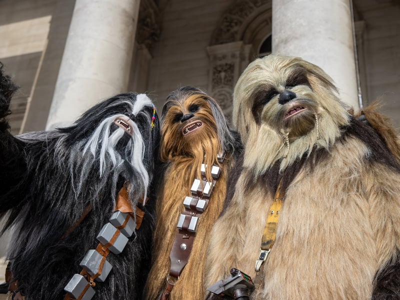 Huge crowds have flocked to Portsmouth Guildhall for Comic Con 2026.

Picture: Alex Shute