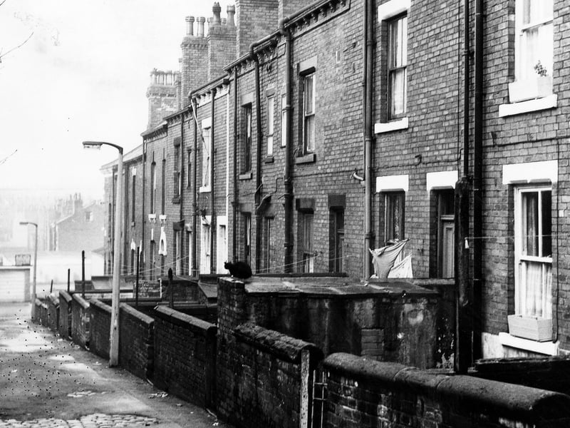 The rear entrances and yards of through terraced houses numbers 7 to 27 Holderness Place. Visible at the far end of the road is Queen's Road. Pictured in December 1972.