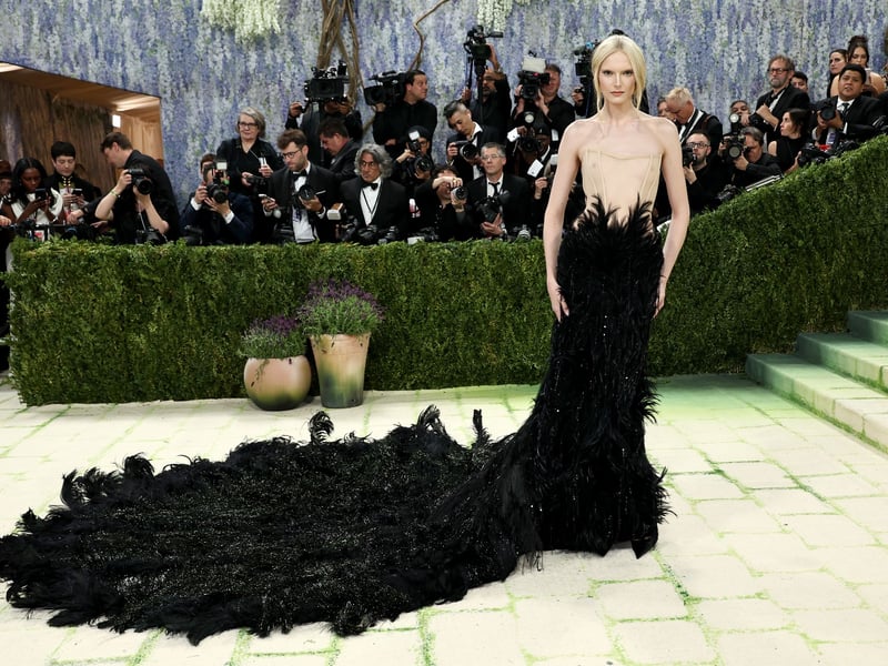 American model and one of the 2026 Met Gala Host Committee co-chairs Alex Consani showed up in style.
