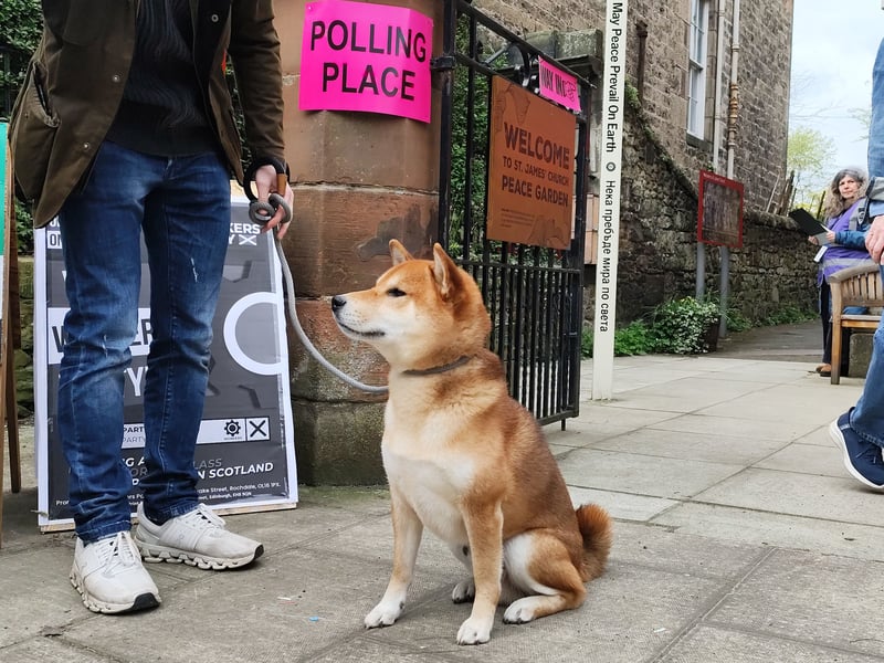 A dog named Obi-Wan Kenobi outside the St James' Church polling station in Edinburgh.