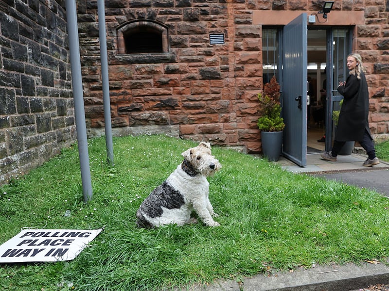 A dog waits outside as people cast their vote at Pollokshields Burgh Hall polling station in Glasgow.