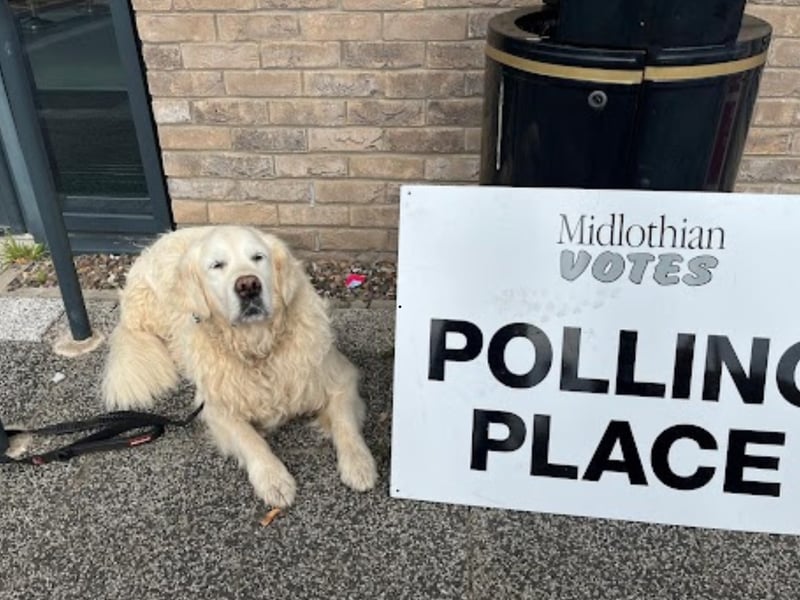 Archie at the The Steading in Rosewell for the Midlothian North constituency vote.