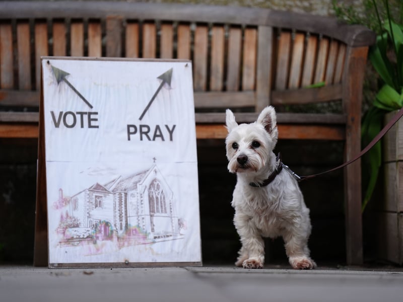 Rory the dog waits next to a sign erected outside the polling station at St James' Church hall in Inverleith, Edinburgh.